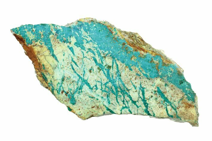 Polished Blue River Chrysocolla Slice - Arizona #264022